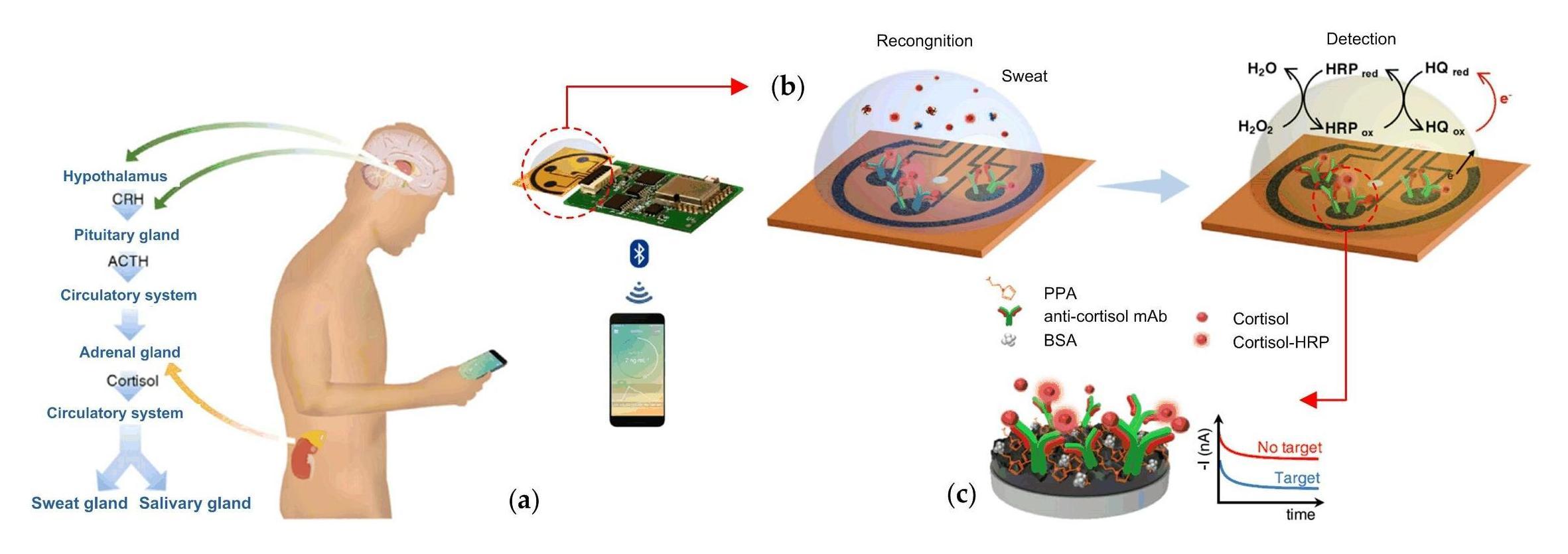 Graphene-based wireless remote control of you through your cell phone