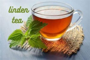 Linden tea is available in many brands.
