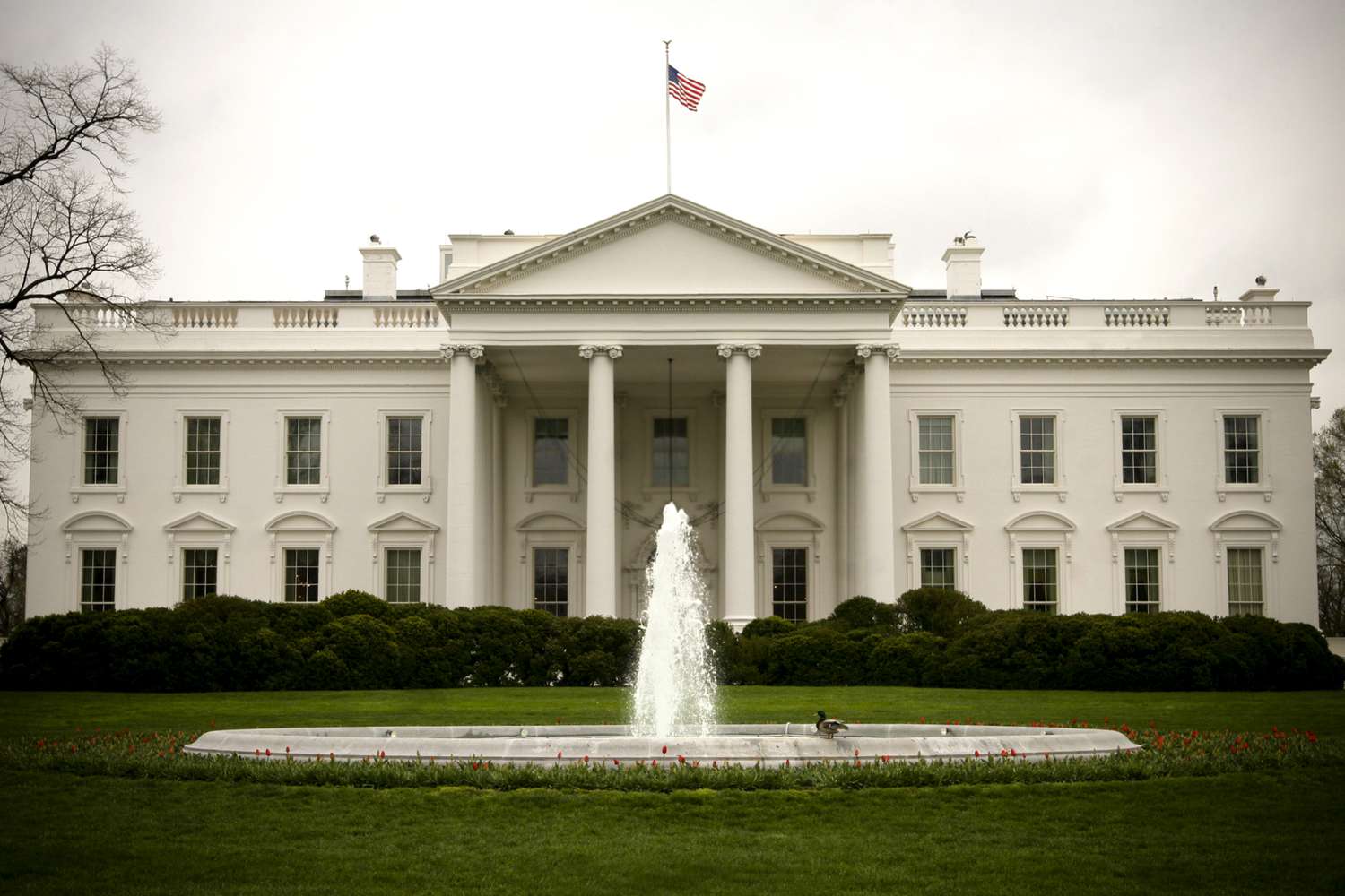 The Biden White House “scripted” a cover-up for mass vaxx deaths and injuries in May 2021