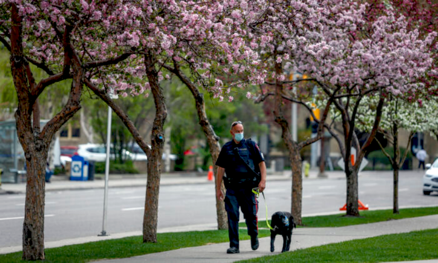 Alberta Reports Surge in Deaths Due to ‘Unknown Causes’ in 2021